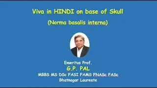 Viva in HINDI on base of skull (External view)