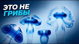 ВИДЕНИЕ