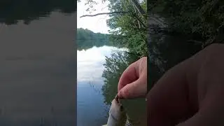 Ultralight fishing with worms