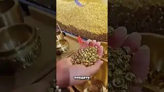 Can you get the gold correctly? 🪙