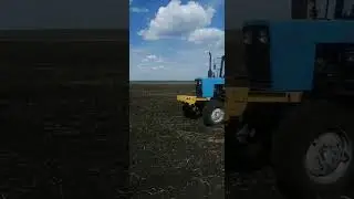 сев подсолнечника селка, маскар и моносем