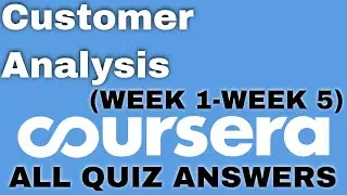 Customer Analysis coursera quiz answers | Customer Analysis coursera answers | Solutions Hub