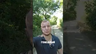 Слово дня 🇸🇰6 #shorts #учимслова #podkop #словацкийязык #учимязык #языки #словодня #видео #топ #урок