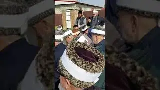 Сайд хьаса