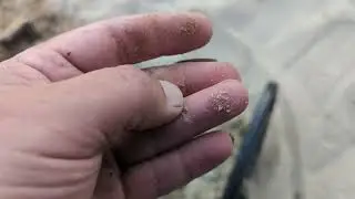 Вышел на коп. Находки две в  одной ямке.