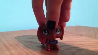 Adria intro