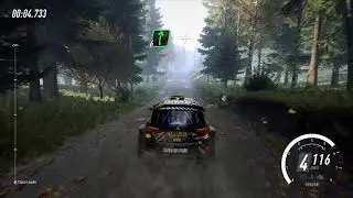 Ford Fiesta R5 MkII - Driving Like A Grandma - Dirt Rally 2.0