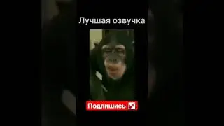 Лучшая Озвучка 🤣🤣🤣#мемасики#мемы#мем#прикол#орунемогу#цешо#юмор#шутки#смех#видос#тикток#жиза#mem