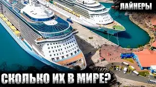 So how many cruise ships are there in the world?