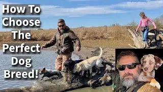 How To Choose The Perfect Dog Breed | In Depth Conversation & Comparison