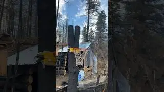 building cabin living in the woods 