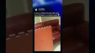Robert Whittaker vs massive spider