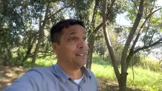 DIREITA OU ESQUERDA? Jesus Cristo é o caminho, a verdade e a vida!!! Amo vcs ❤️