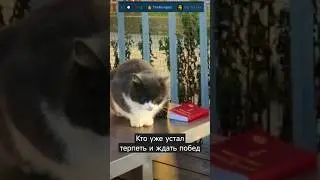 G2 как обычно против NN🤦 