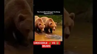 CROCODILE 🐊 BECOMES FOOD FOR BEAR AFTER TRYING TO ATTACK 😭💔♥️SUBSCRIBE♥️♥️