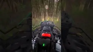 Quand je dépose mes caméras chasse 🤔
