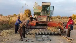 Tabiat qo'ynida bir kun! Sholi dalasida Kombayn buzilib qoldi.
