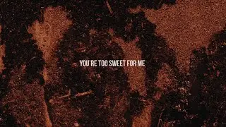 Hozier - Too Sweet (Official Lyric Video)