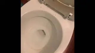 How Poo Is Made