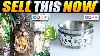 Sell These 8 Shopify Winning Products And Make Money Online | Sell This Now