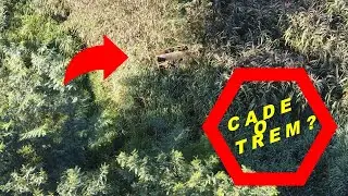 Drone Flagra Trem ABANDONADO na cidade de Mairinque    #dji mini 2 #dji mini 3 #dji avata #drone