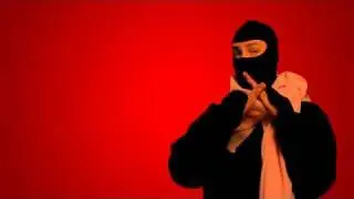 Ask A Ninja  2