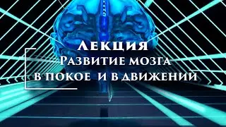 Цзе Кун. Даосская алхимия. Развитие мозга в покое и в движении