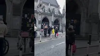 КРАСИВО ПОЕТ | #shorts #dublin