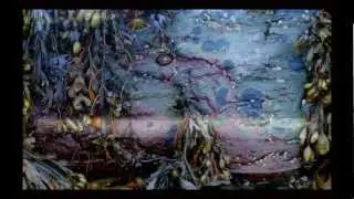 NIKON D80 PHOTOGRAPHY (random subjects) HD 1080p