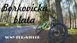 Borkovická Blata - Sony FRD-X3000R 4K