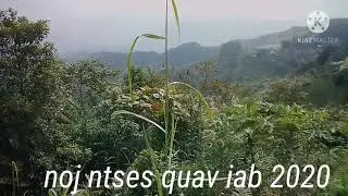Noj quav iab ntses 5/12/2020