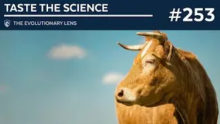 Taste the Science: The 253rd Evolutionary Lens with Bret Weinstein and Heather Heying