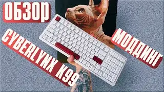 Обзор и моддинг CYBERLYNX K99. ЗАЗВУЧАЛА ГОДНО?