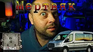 Shocking Ford Transit ECU Repair Secrets Revealed! ЭБУ FORD Transit Ремонт SID208