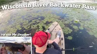 Wisconsin River Backwater Bass | Froggin' for Backwater Bass on the Wisconsin River