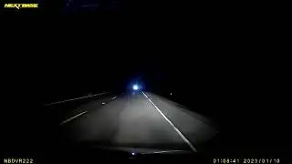 Deer at Night