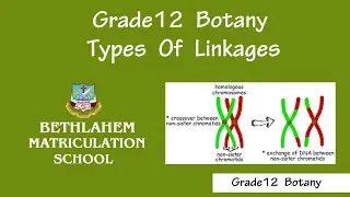 GRADE XII | SUBJECT - BIO-BOTANY  & BOTANY | TOPIC - KINDS OF LINKAGE || Online Class 12th