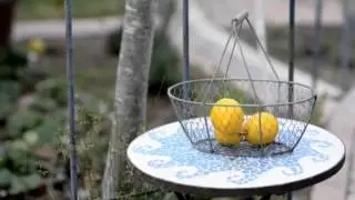 Citrusi