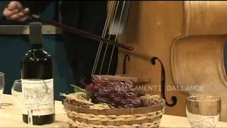 Rebecca TV Show - Csalóka zenekar, Galgamenti dallamok