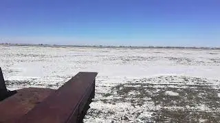 24 лютого підживлення озимої гірчіці