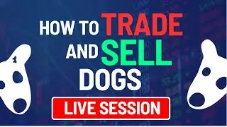 How To Sell and Trade Your Dogs on Bybit, Binance, Bitget and Ton Keeper