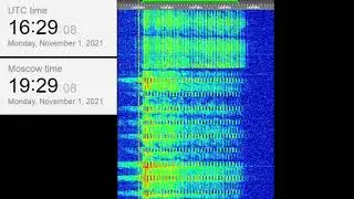 The Buzzer/UVB-76(4625Khz) November 1, 2021 Voice messages