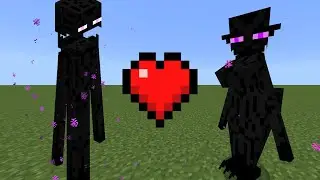 Enderman Loves Enderwoman in Minecraft 💗💖