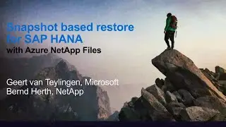 Snapshot-Based Restore for SAP HANA with Azure NetApp Files