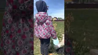 Как прекрасно жить за городом ❤️ Бенгал Уголь Барокко