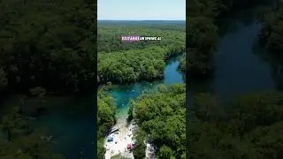 Morrison Springs 💦