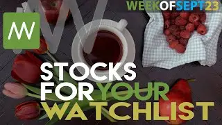 Top Stocks For This Week That You Should Have on Your Watch List! ( Week of Sept 23 )