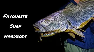 Best Hardbody for Beach Fishing | Catches Mulloway, Salmon & Tailor