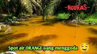 SPOT YANG AIRNYA BERWARNA ORANGE INI TERNYATA PERSEMBUNYIAN PARA IKAN GABUS
