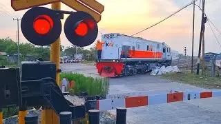 Langsiran Lokomotif | Kereta Api Barang | Perlintasan ALKMAAR Arjawinangun